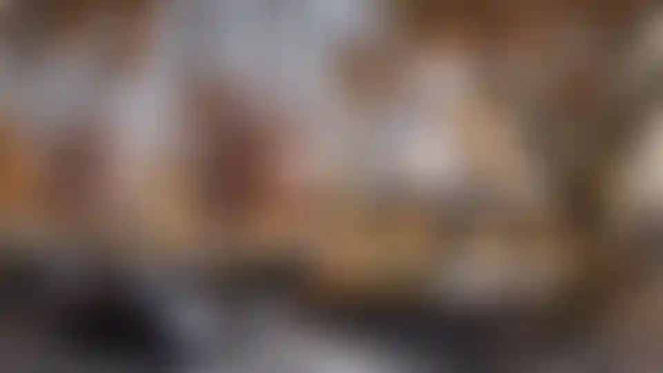 Изображение галереи