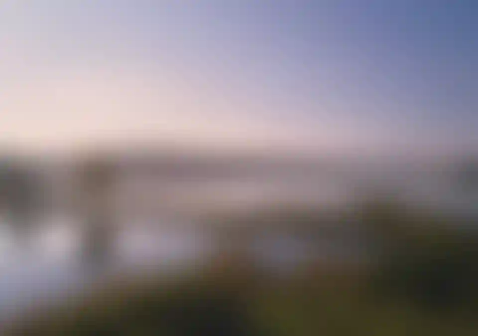 Экология  и природное окружение