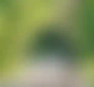 Продуманное благоустройство