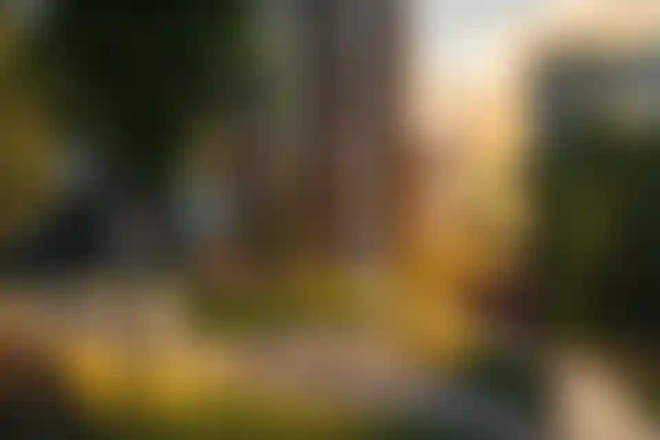 100 тыс. человек