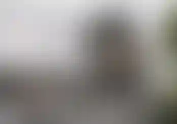 метро «Потапово»