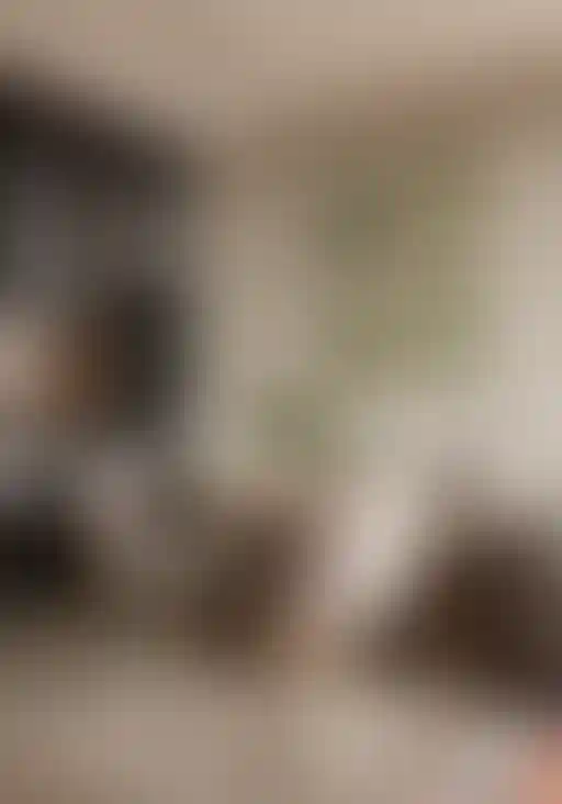 Кухня-гостиная