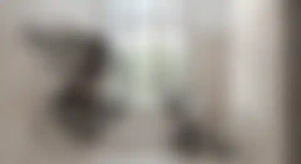 Слайд галереи