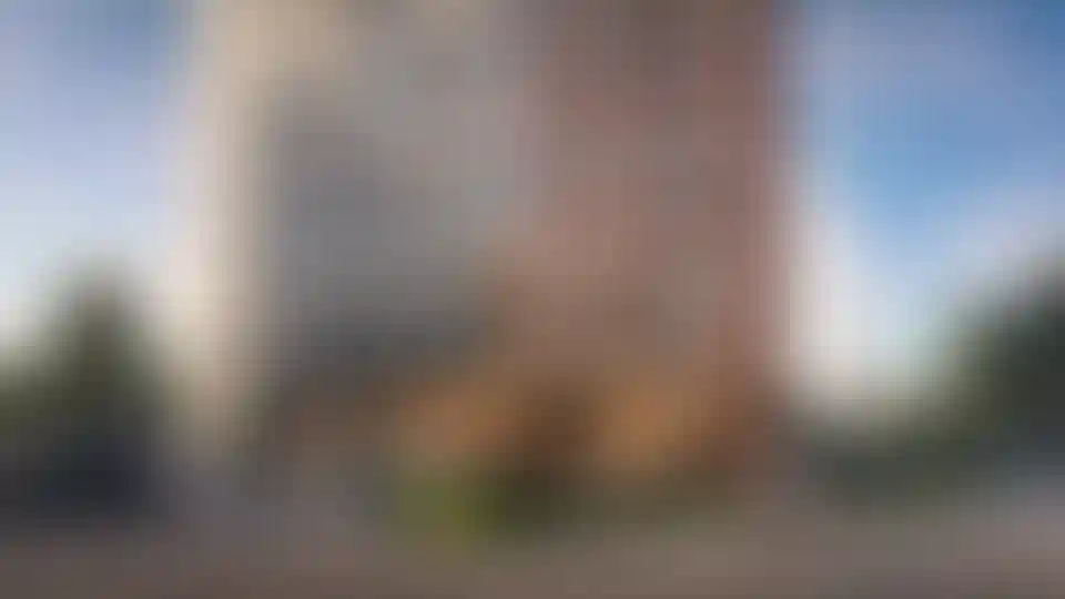 Недвижимость в Южные сады 