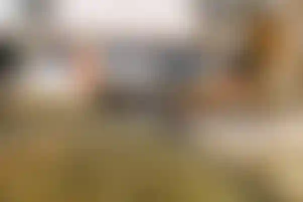 Слайд галереи