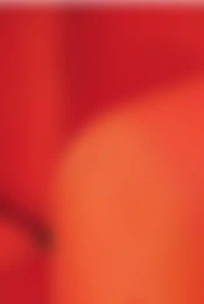 Амбассадоры идей