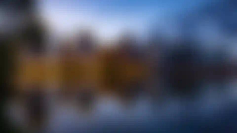 Изображение галереи