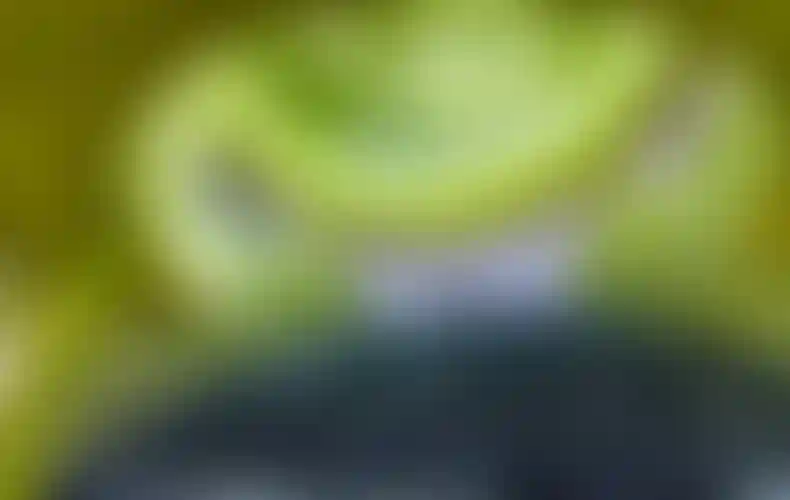 Изображение галереи