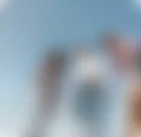 Изображение галереи