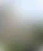 Экология и окружающая среда