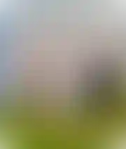 Социальная ответственность