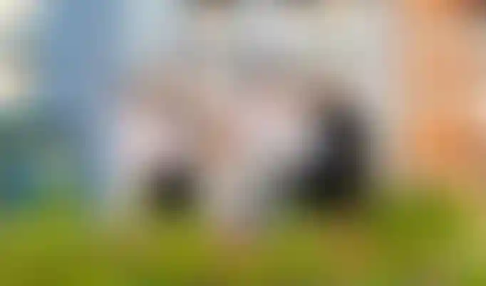 Социальная ответственность