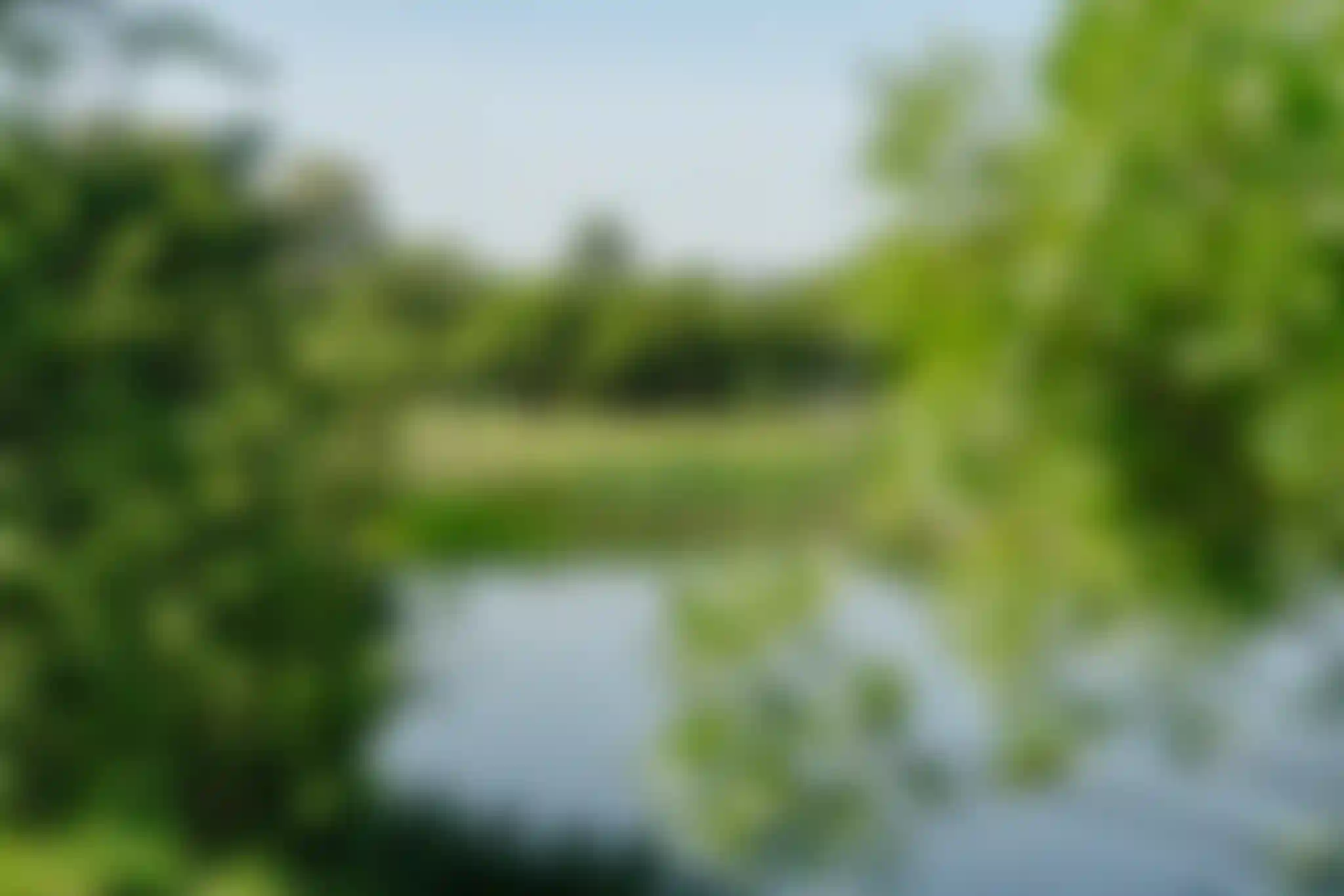 Осознанный подход к защите окружающей среды