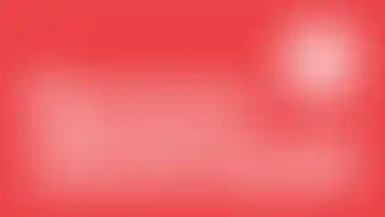 Только 24 декабря! Свежий выпуск облигаций