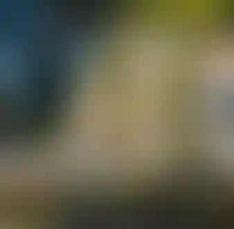 Устойчивое развитие