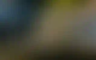 Устойчивое развитие