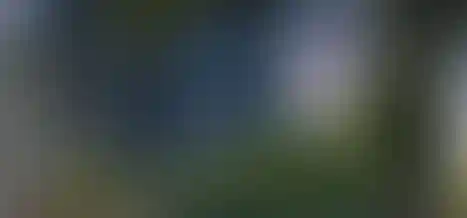 Комлексное освоение территорий