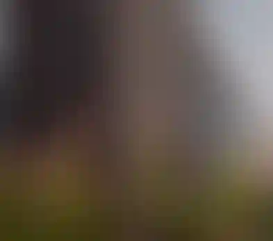 Не упустите выгоду