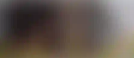 Не упустите выгоду