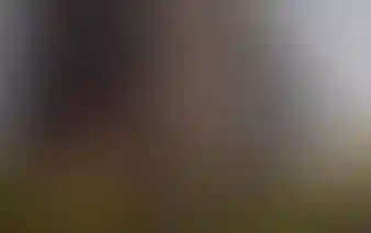 Не упустите выгоду