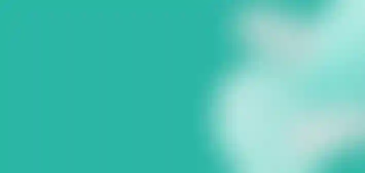 Запустили аукцион