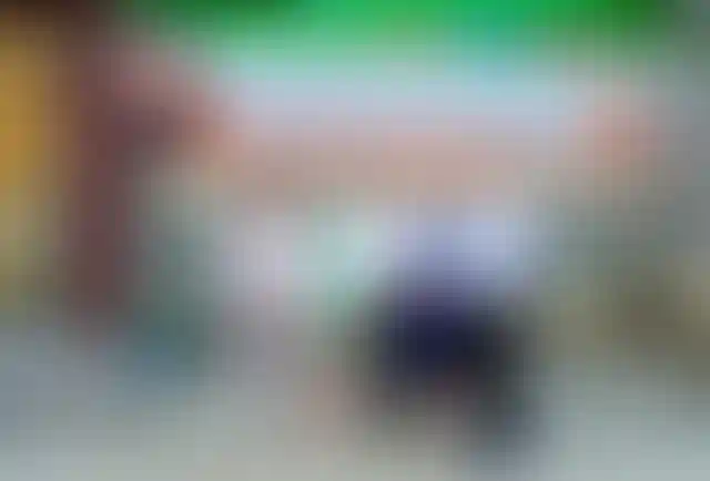 Полиглотики