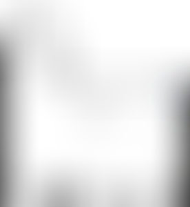 Изображение карточки лота