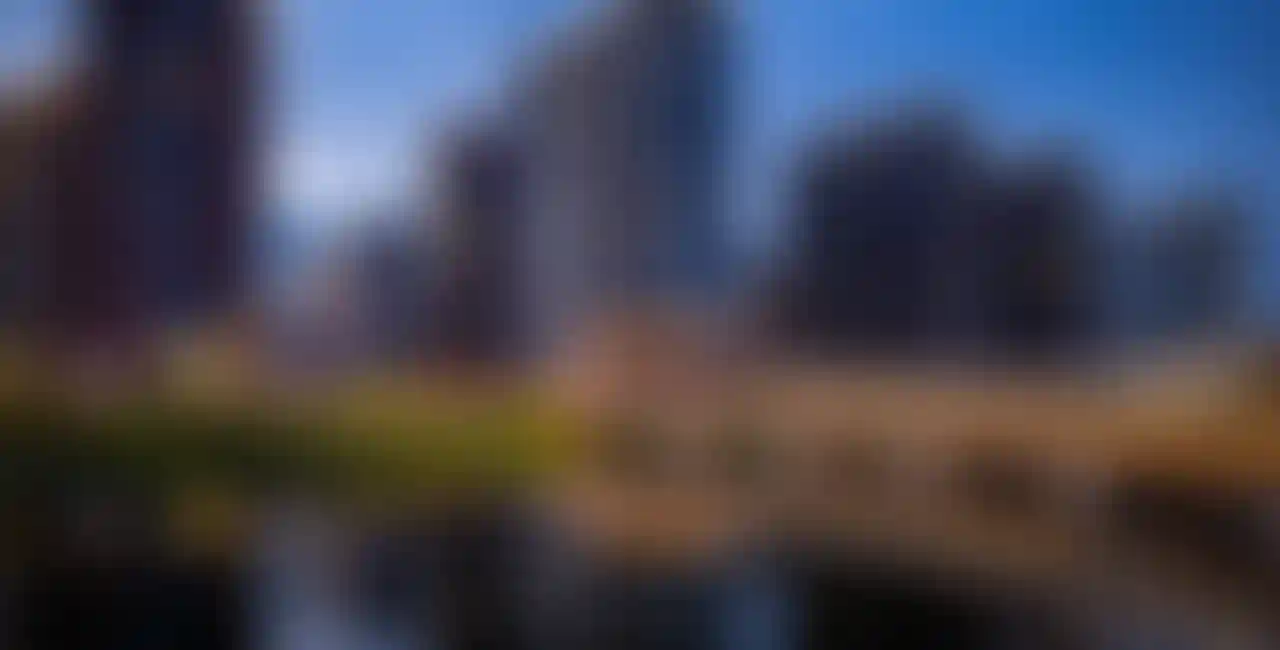 Изображение галереи