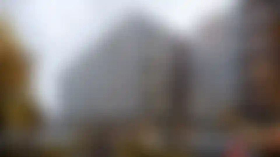 Изображение галереи