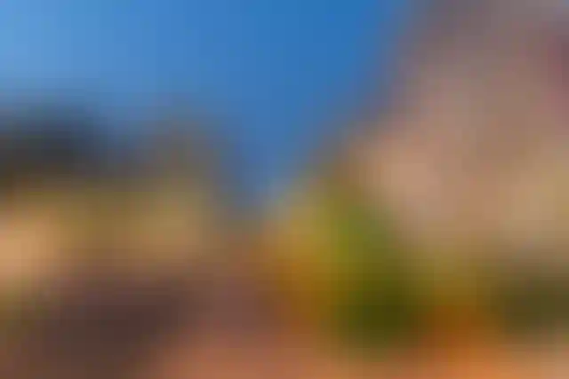 Изображение галереи