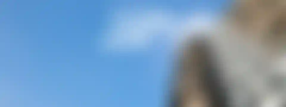 Изображение галереи