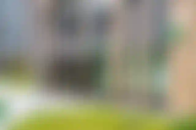 Изображение галереи