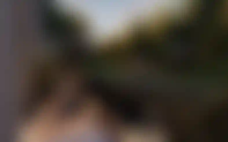 Изображение галереи