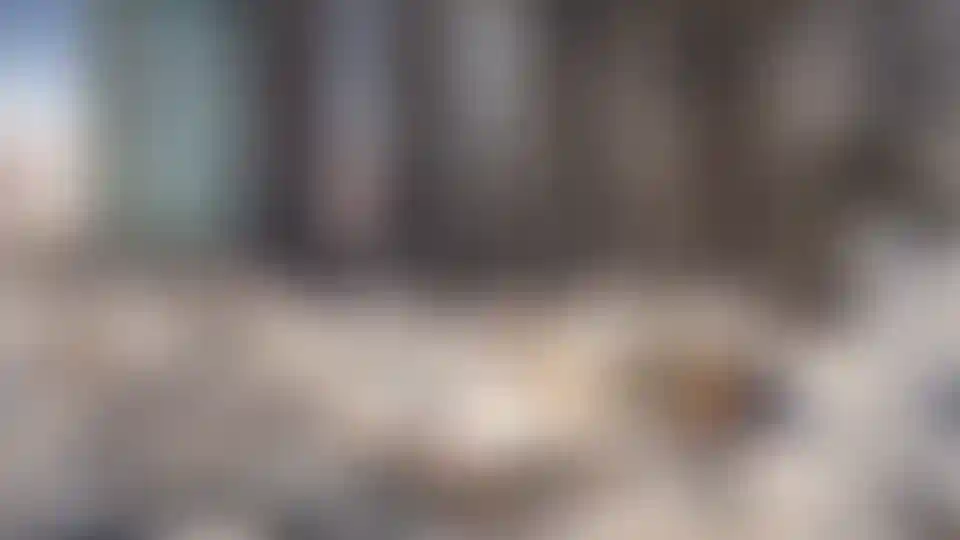 Изображение галереи