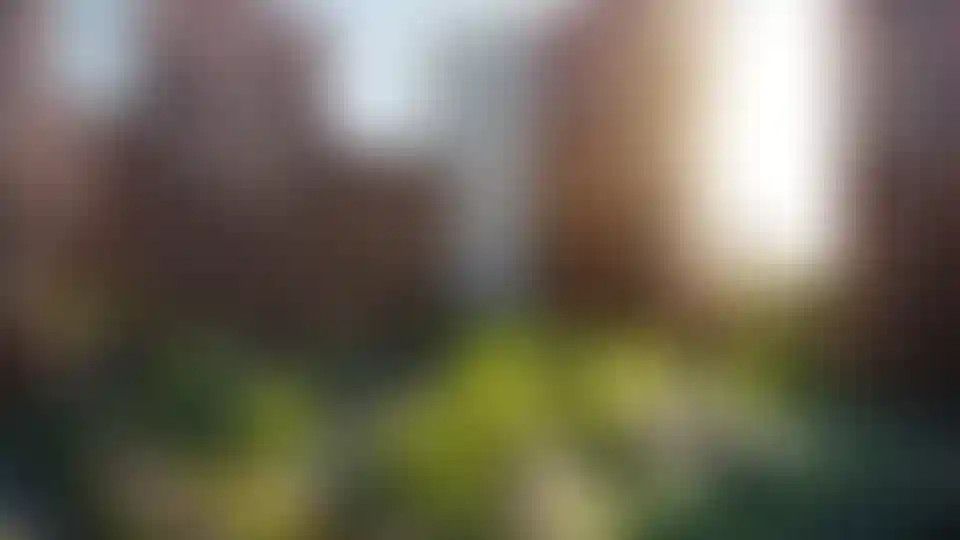 Изображение галереи