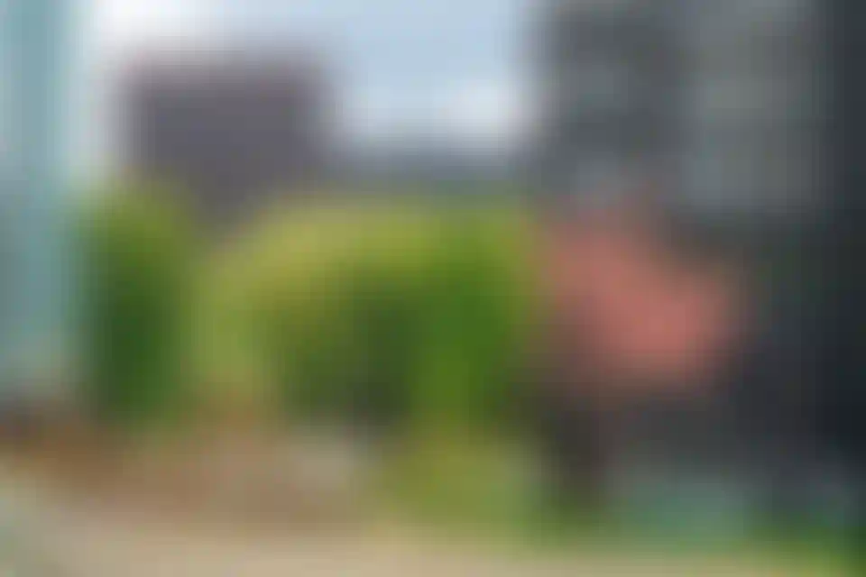 Изображение галереи