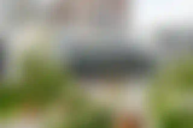 Изображение галереи