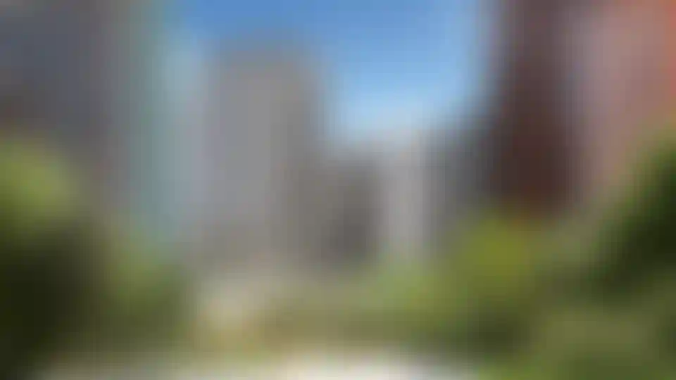 Изображение галереи