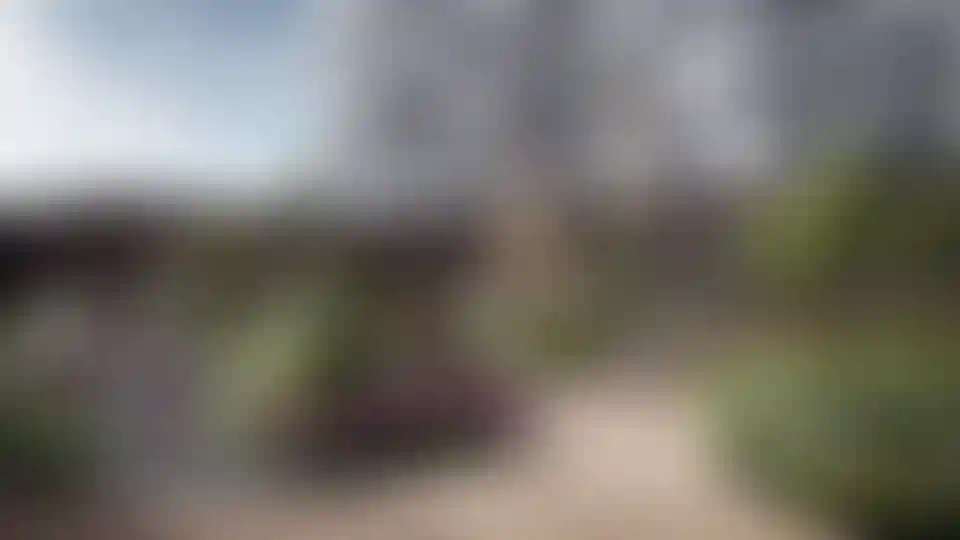 Изображение галереи