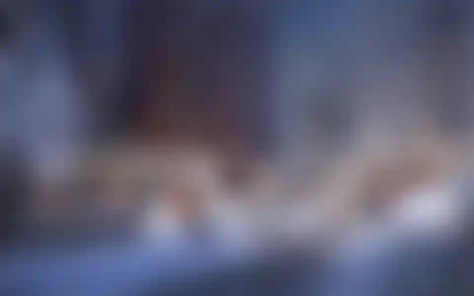 Изображение галереи