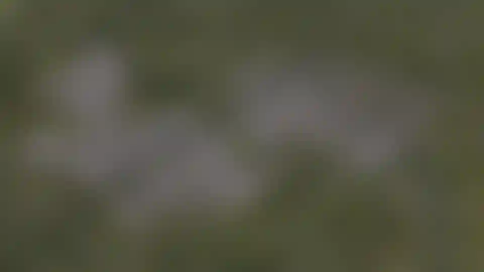 Изображение галереи