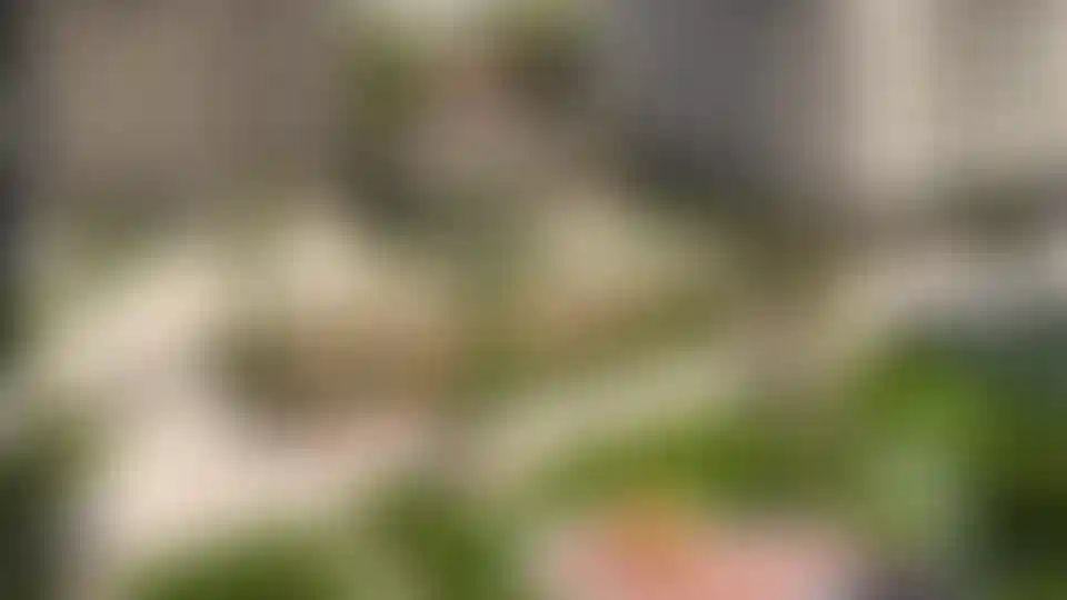 Изображение галереи