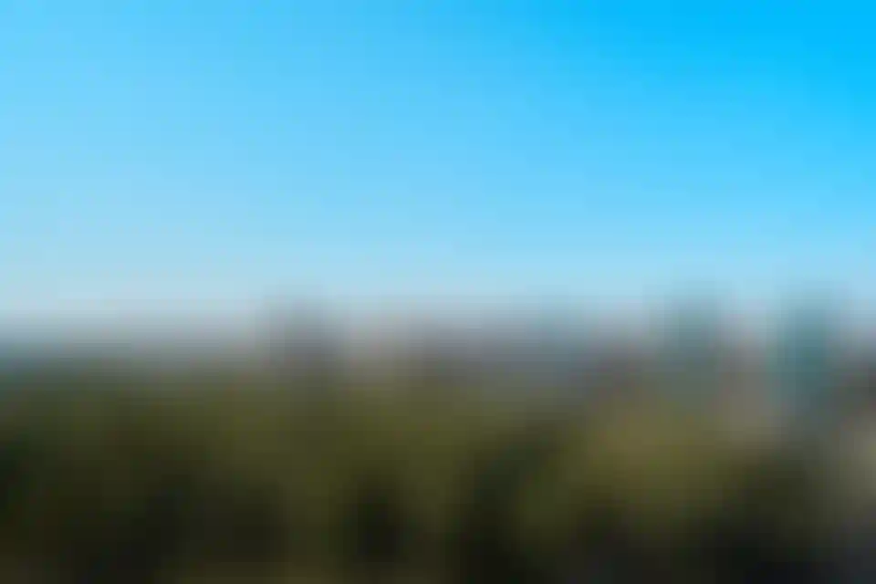 Изображение галереи