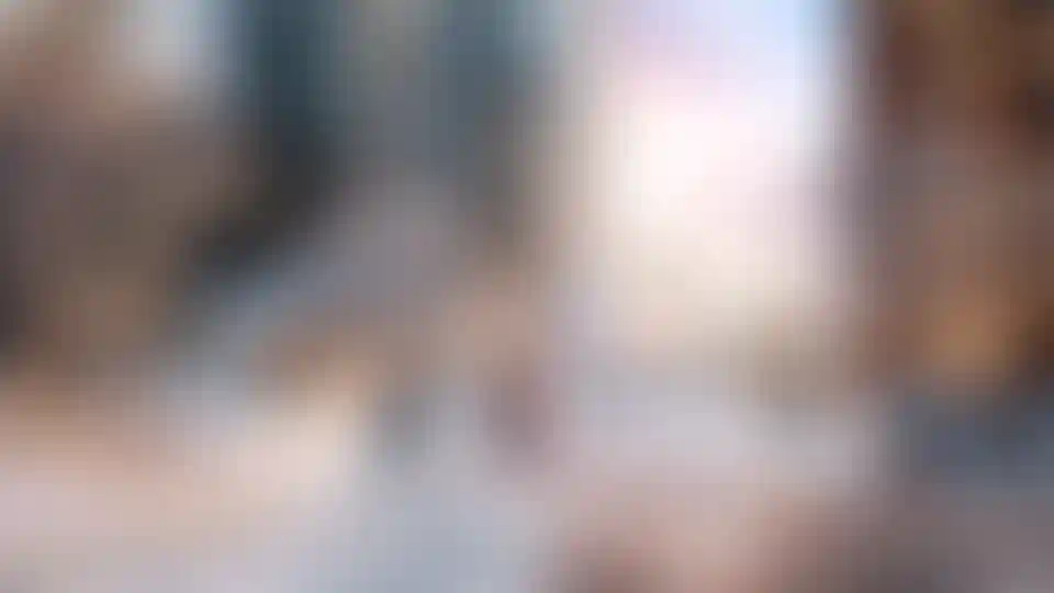 Изображение галереи