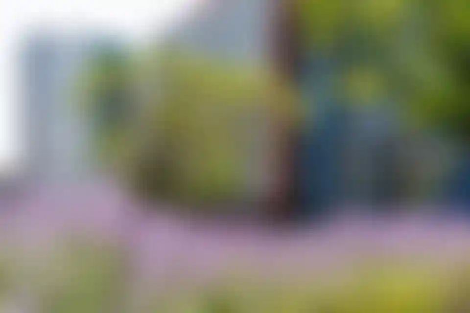 Изображение галереи