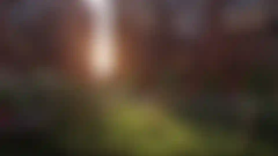 Изображение галереи