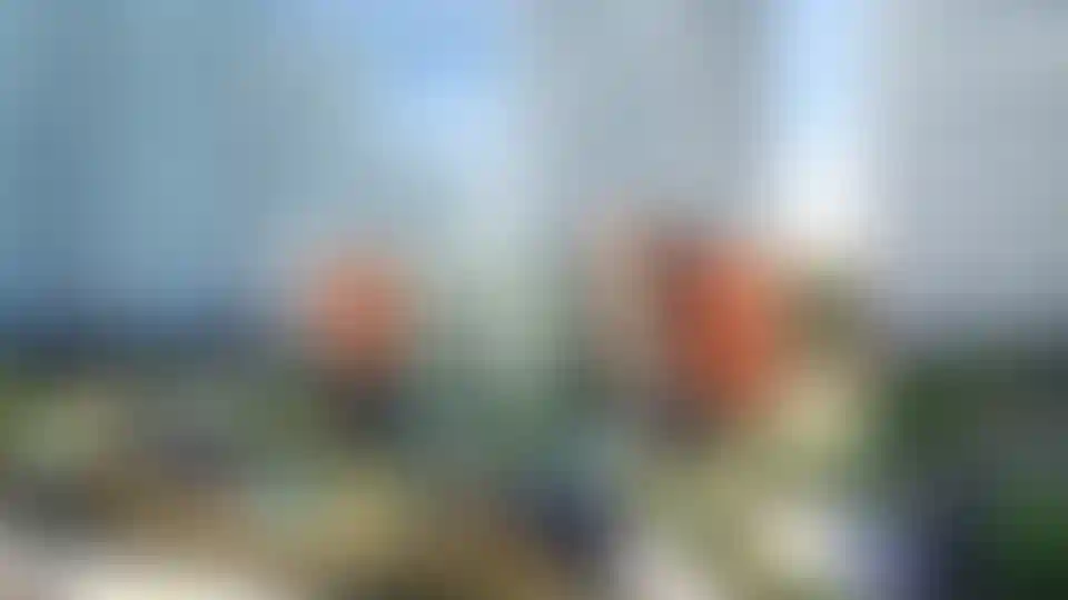 Изображение галереи