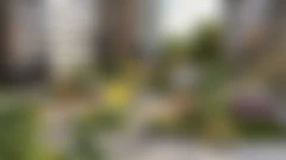 Изображение галереи