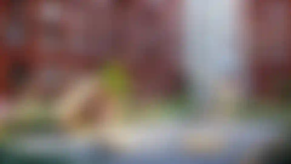 Изображение галереи