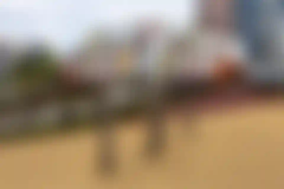 Слайд галереи